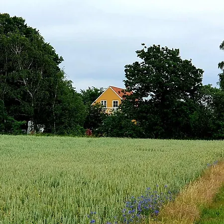 The Fig Studio - Boutique Guest House - Near Ronne & Beach Rønne