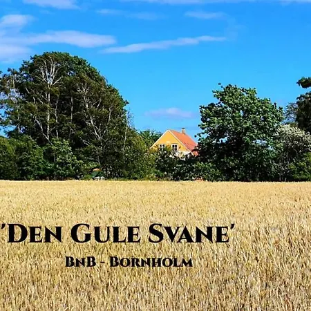 The Fig Studio - Boutique Guest House - Near Ronne & Beach 4* Rønne