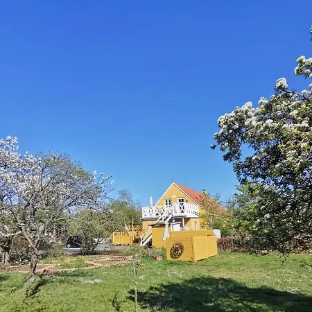 The Fig - Near & Guest house Ronne