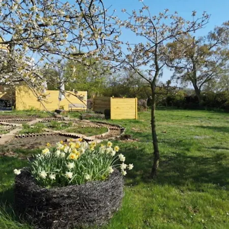 The Fig - Near & Penzion Rønne