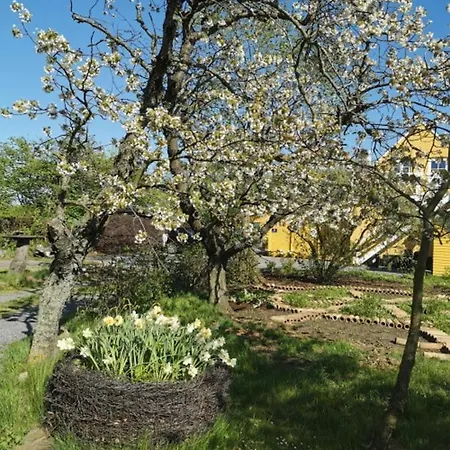 The Fig Studio - Boutique Guest House - Near Ronne & Beach 4*