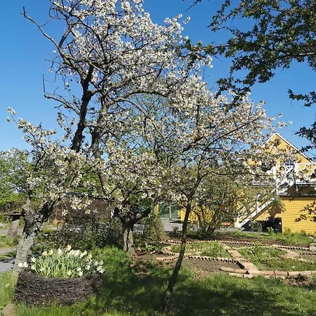 The Fig - Near & 4* Rønne