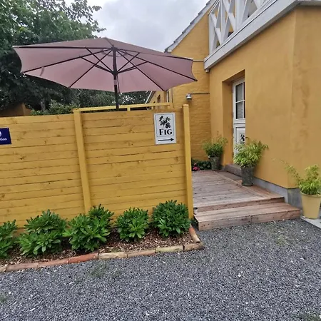 The Fig - Near &