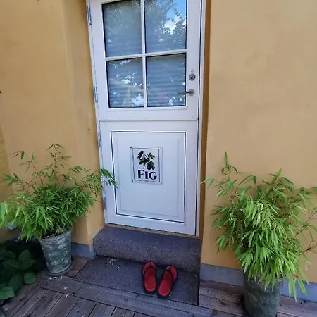 The Fig - Near & Guest house 4*