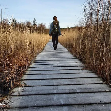 Гостевой дом The Fig - 