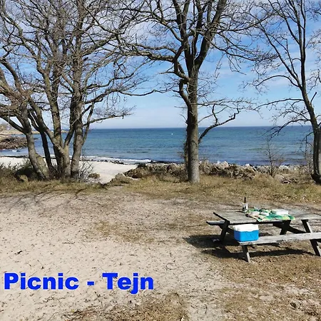 The Fig - Near & Penzion Rønne