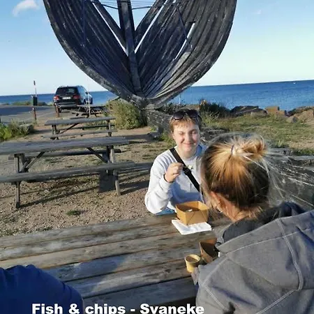 The Fig - Near & Rønne