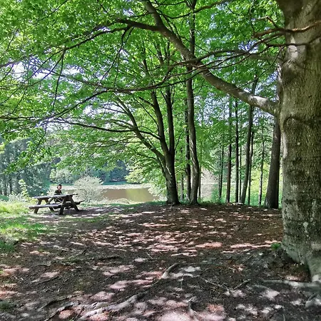 The Fig - Near & Penzion Rønne