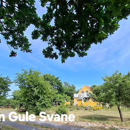 Гостевой дом The Fig - 