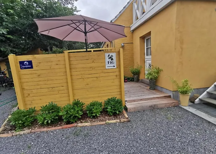 The Fig - 
