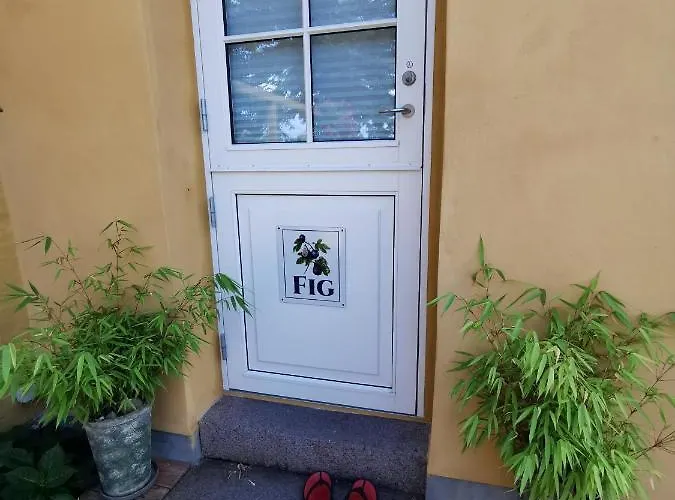 The Fig - 